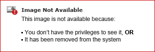 In order to resolve this issue, you will need to have access to your server (the computer where the Rosetta Stone Server software is installed).