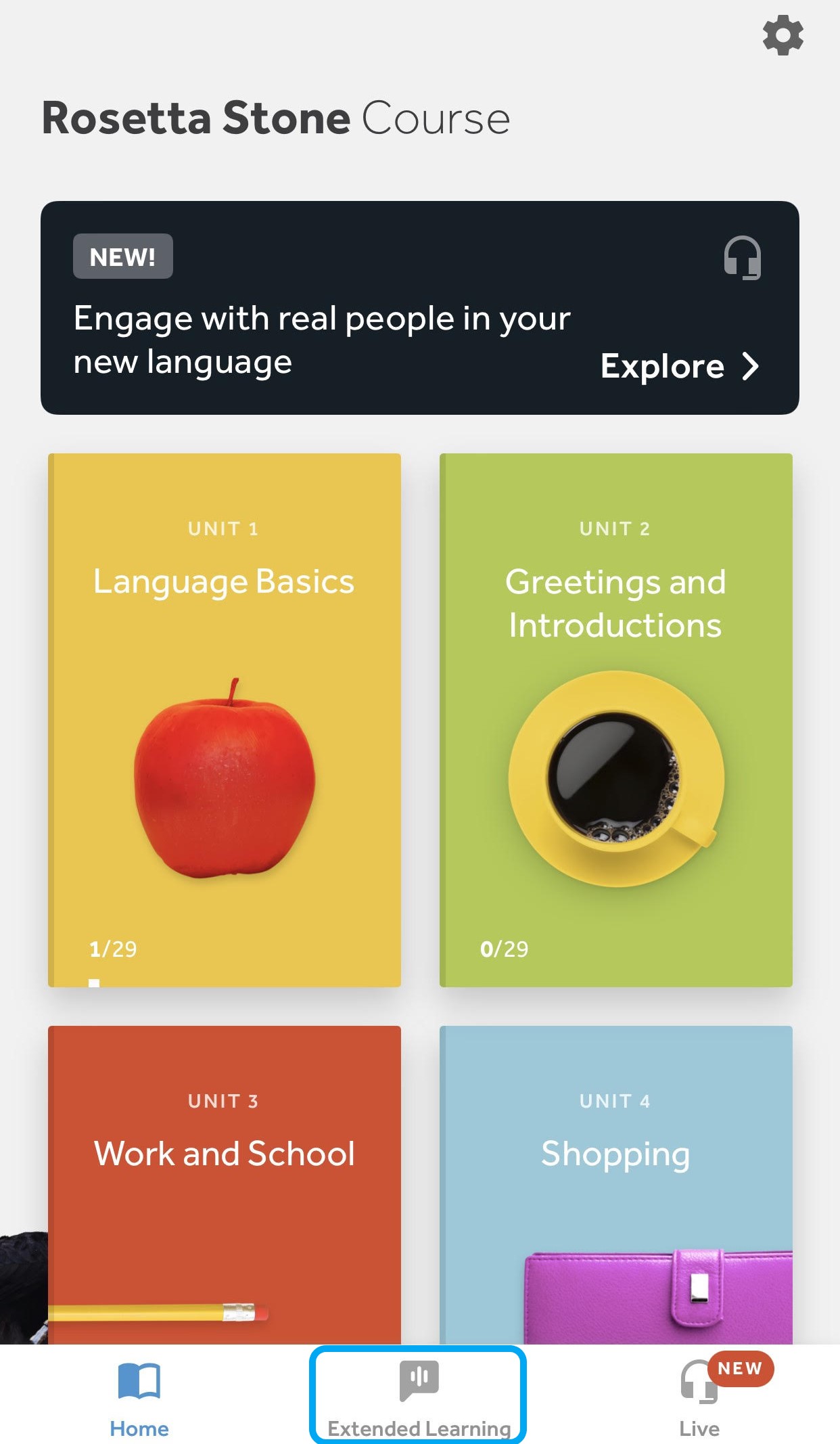Rosetta stone english online sales